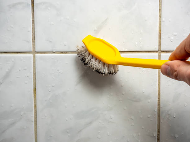  Pharr, TX Mold Removal Pros