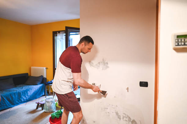 Best DIY Mold Remediation Support Services in Pharr, TX